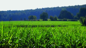 Landschaft 2 grafik-Design Jacob