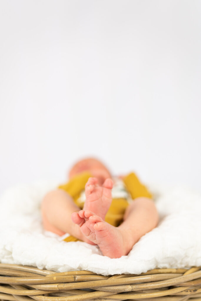 Dieses Bild hat ein leeres Alt-Attribut. Der Dateiname ist Kinder_Baby_Newborn-Shooting__LJ-Design_Portfolio-11-683x1024.jpg